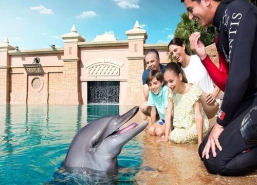 Dolphin Encounter Atlantis Dubai Tickets