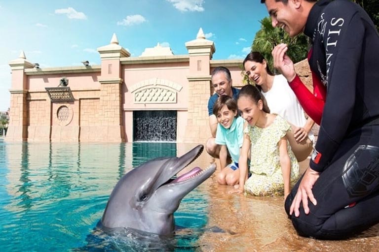 Dolphin Encounter Atlantis Dubai Tickets