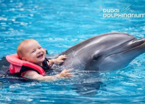 Swimming with Dolphins at Dubai Dolphinarium