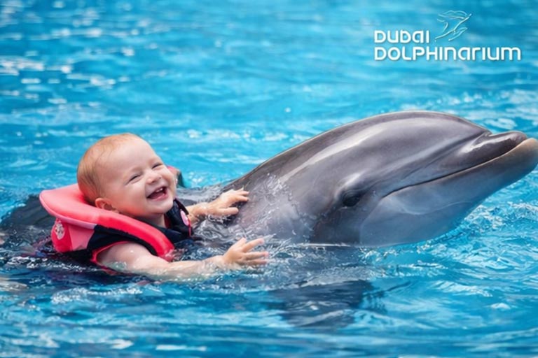 Swimming with Dolphins at Dubai Dolphinarium